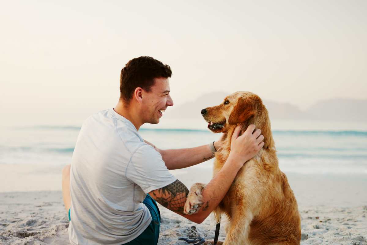 Man enjoying sunset on the beach with a golden retriever at Oak & Iron in Walnut Creek, California