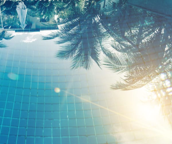 Reflection of palm trees at Alta Grande