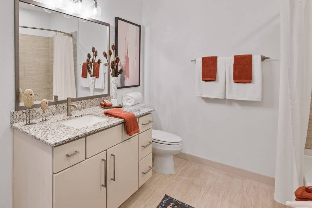 Bathroom at Define Living at Brittmoore in Houston, Texas