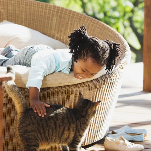 A kids playing with her cat at Lyman Park in Quantico, Virginia