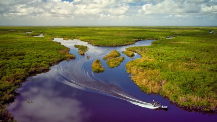 Aerial view of an airboat in the Florida Everglades | tours in Jacksonville