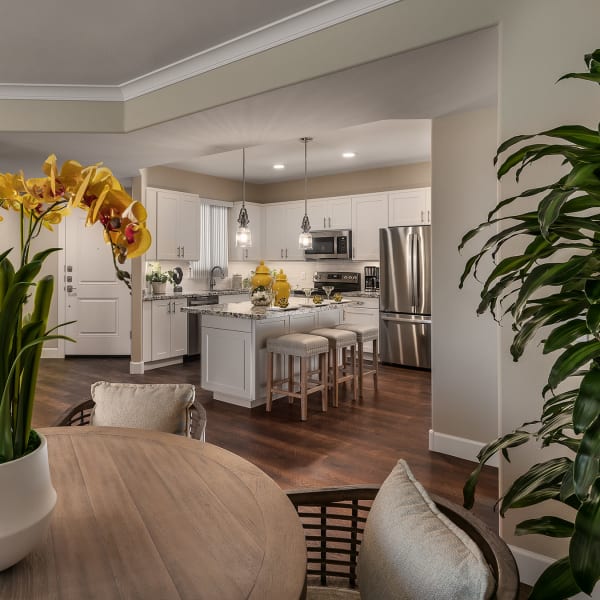 Stunning kitchen at San Bellara in Scottsdale, Arizona