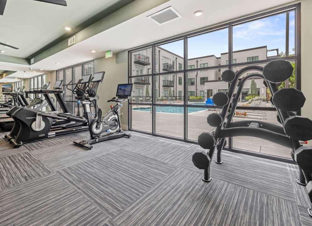 Racks of weights and cardio equipment in the fitness center at The Lowe in Savannah, Georgia
