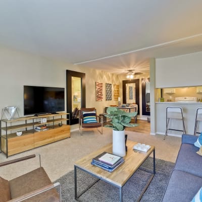 Open-concept layout with plush carpeting and modern furnishings in a model home at Sofi at Los Gatos Creek in San Jose, California