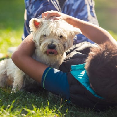 A child playing with a dog at the dog park at San Mateo Point in San Clemente, California