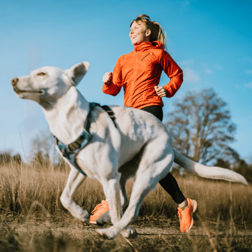 Resident on a run with her dog at Kinect @ Lynnwood in Lynnwood, Washington