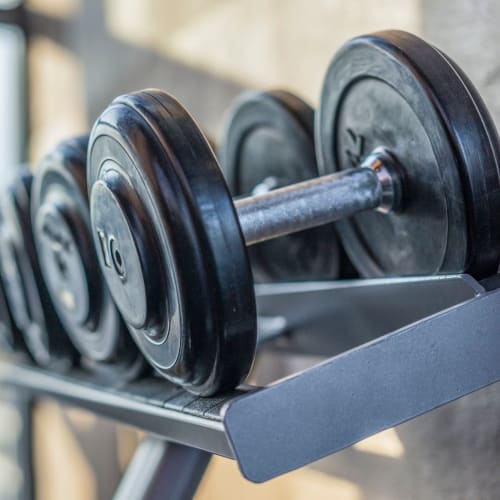 A set of dumbells on a rack in the fitness center at The Crossing at Palm Aire Apartment Homes in Sarasota, Florida