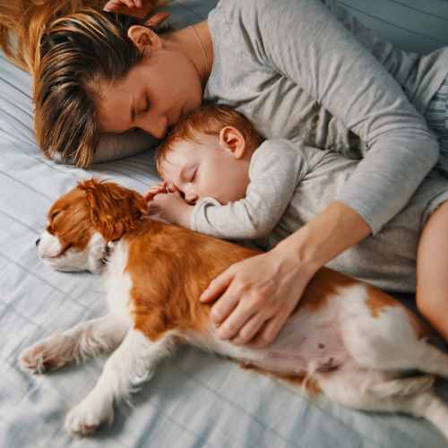 Pet-friendly apartment at Sagewood Estates in Portland, Oregon