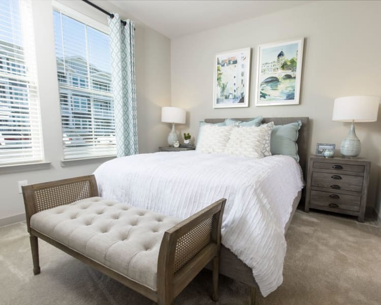 Very modern decorated room with large windows and carpeted floors at Parc at Murfreesboro in Murfreesboro, Tennessee
