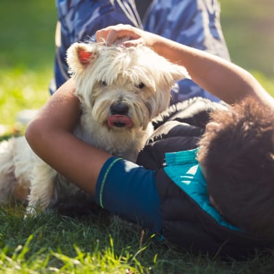 A child playing with a dog at a dog park near Harborview in Oceanside, California