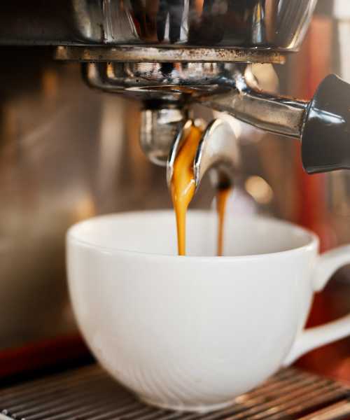 Coffee shop near Terrapin Park in Parkersburg, West Virginia