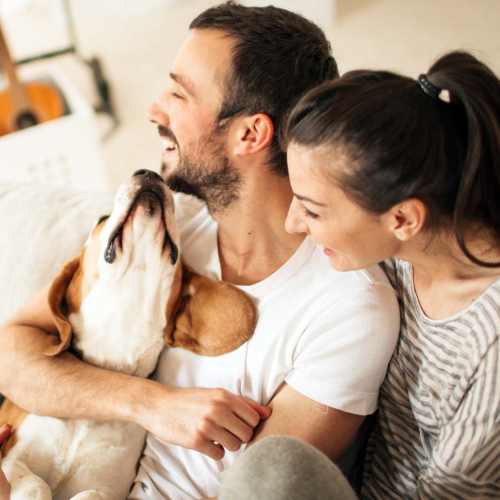 Pet friendly at Emerald Place in Lancaster, Ohio