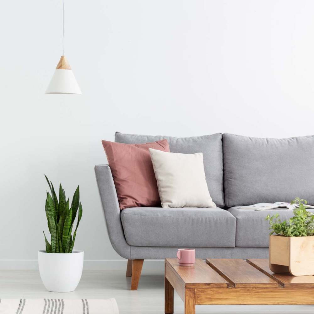 Living area of an apartment home at Lake Forest in Daphne, Alabama