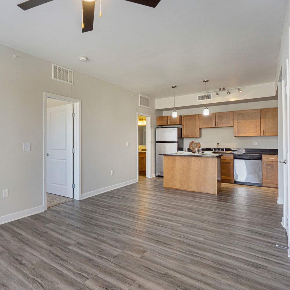 Open concept living room and kitchen with vinyl flooring