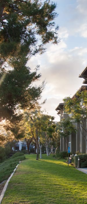 Beautifully manicured lawn at Alicante Apartment Homes in Aliso Viejo, California