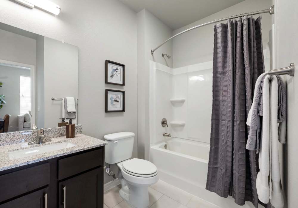 Luxurious bathroom in a model home at Standard at Royal Lane in Dallas, Texas