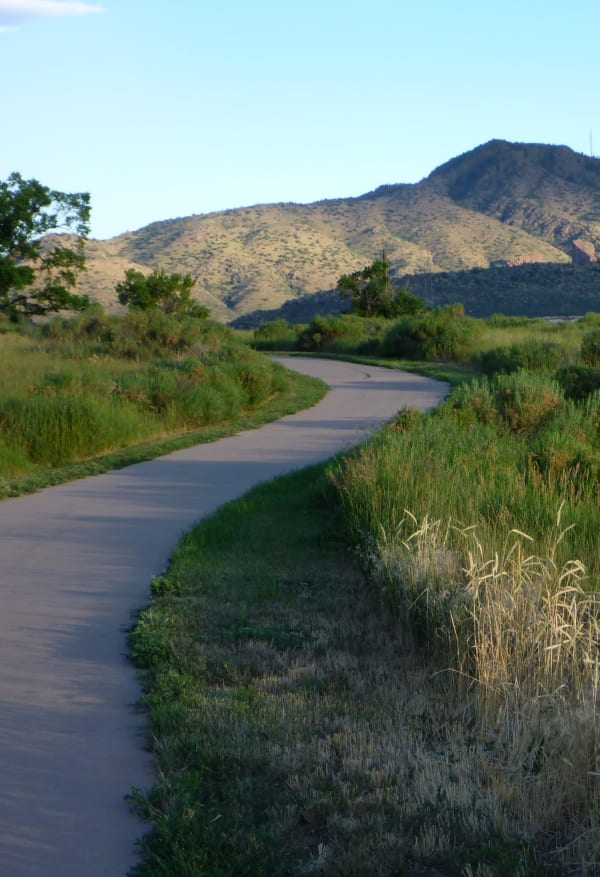 A path and surrounding natural area near Marq Promenade in Westminster, Colorado