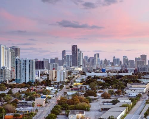 Places to eat near Aliro in North Miami Beach, Florida