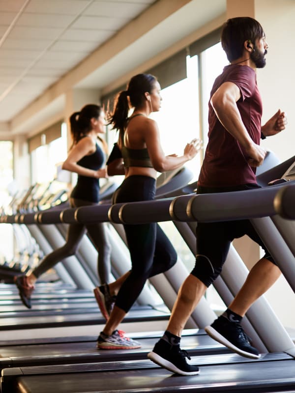 Residents running on treadmills in the state of the art fitness center at Tuscany Pointe at Tampa Apartment Homes in Tampa, Florida