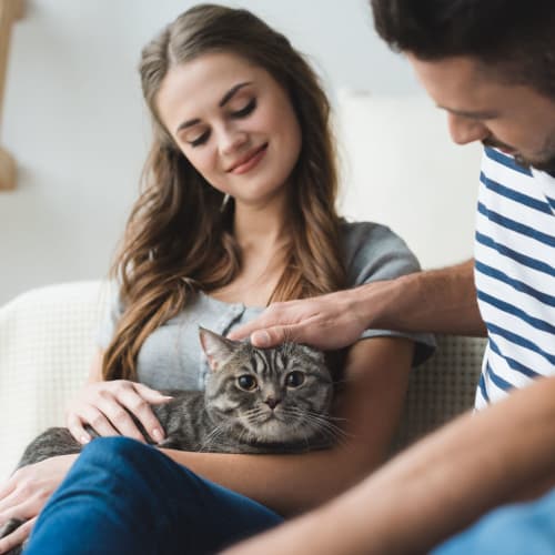 Residents petting a housecat at Midway Manor in Virginia Beach, Virginia