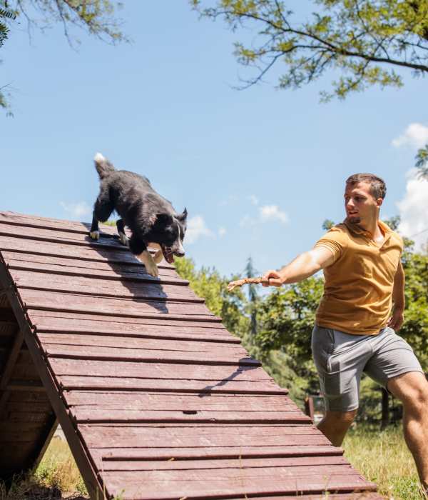 Man playing with dog at agility ramp at The Residences at Talcott in Weatogue, Connecticut 