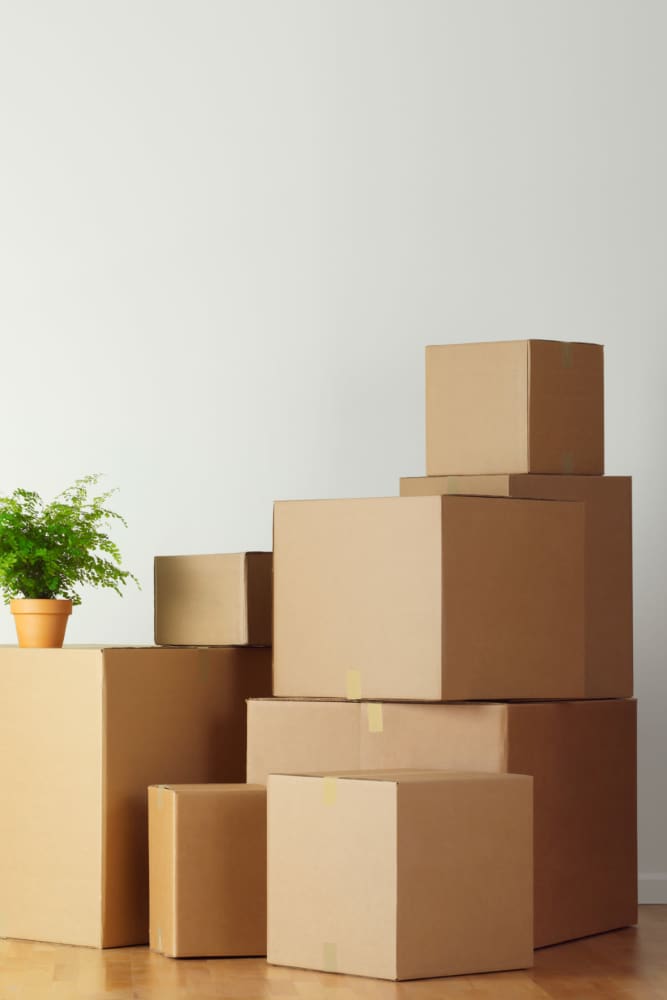 Variety of Sizes at American Self Storage in Raymore Missouri