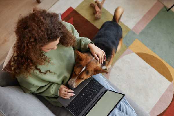 Resident playing with dog while working in laptop at Williston Pointe in Gainesville, Florida