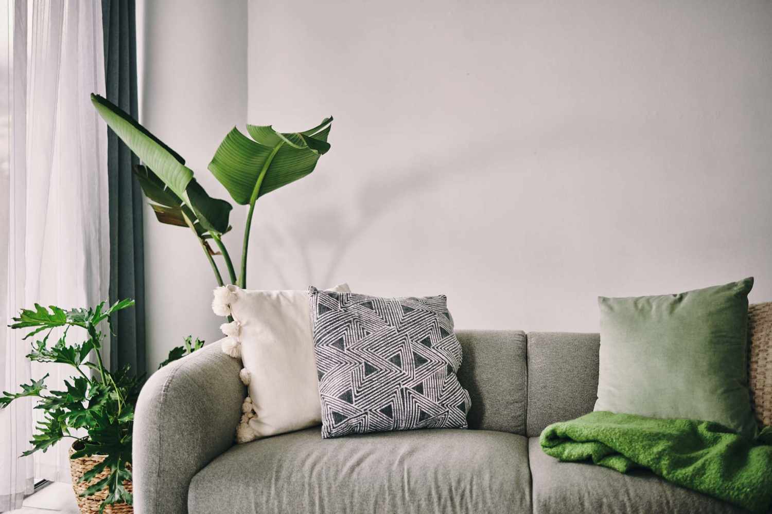 Apartment living room with a couch and plant at Northchase in Alvarado, Texas