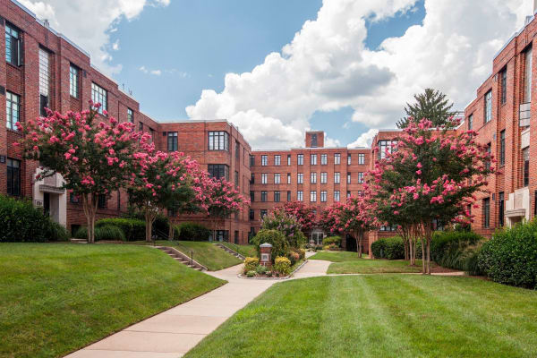 Photos of our apartments in Silver Spring, MD