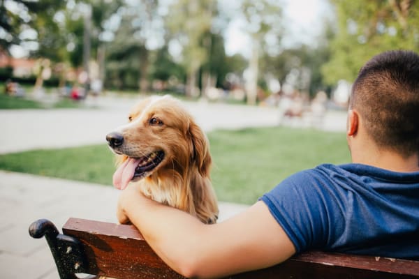 Resident sitting in a park with their dog at The Edge in Modesto, California