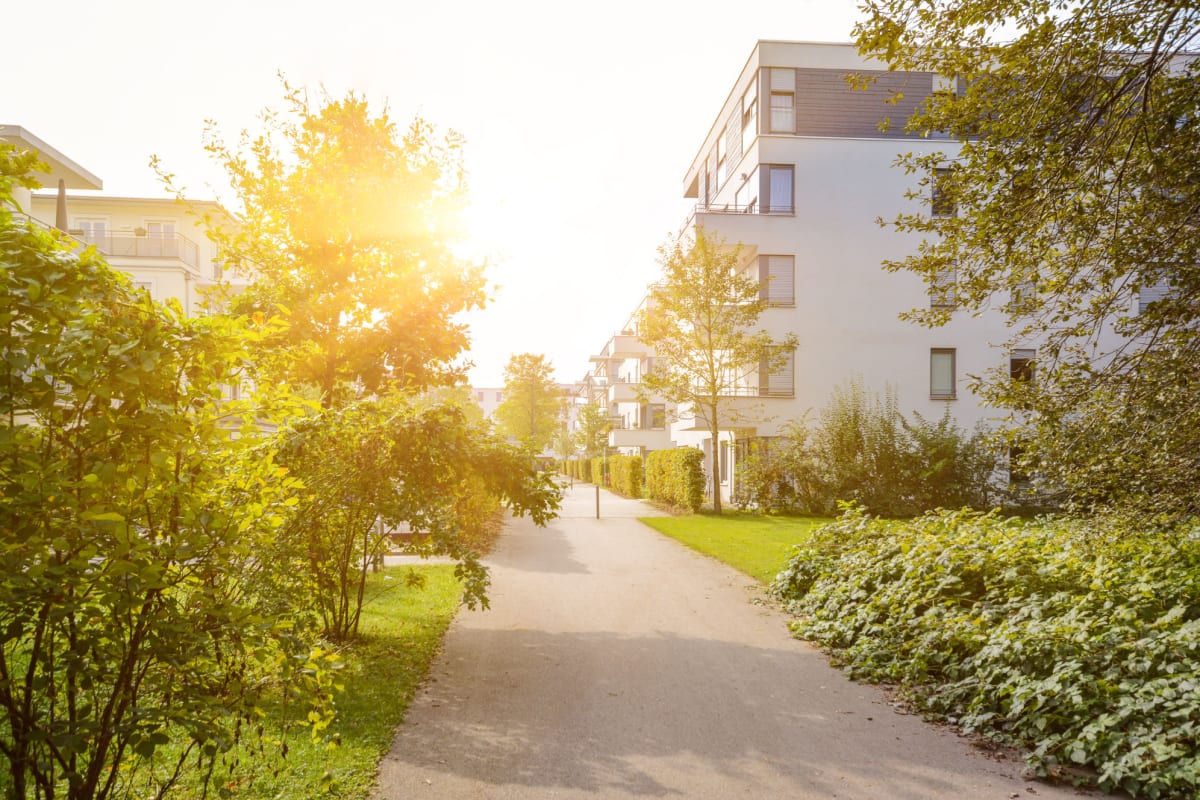 Lush landscaping lining the walkway of a NextGen Properties property 