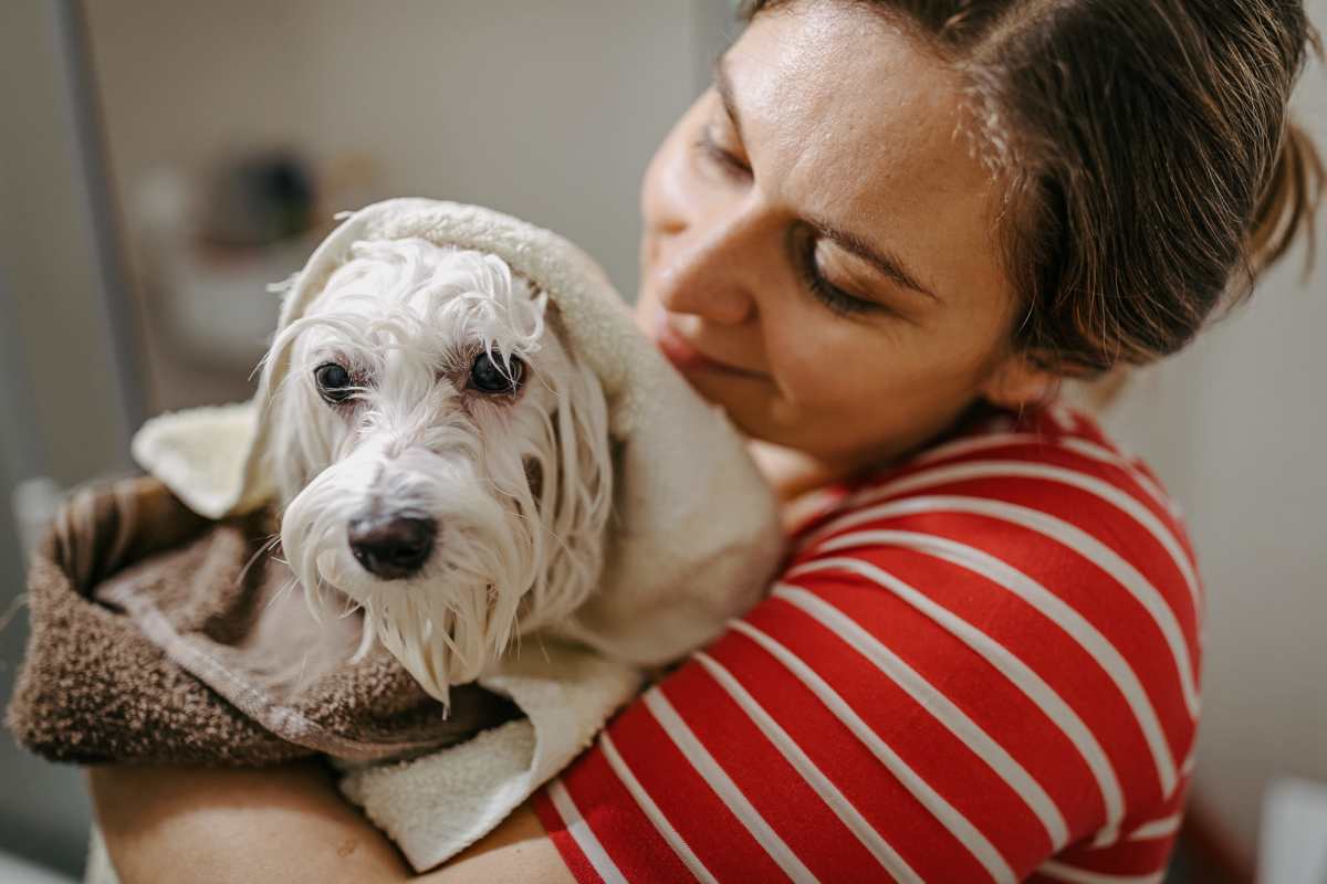 Resident woman playing with dog in her living room at Grove Park in Paris, Tennessee