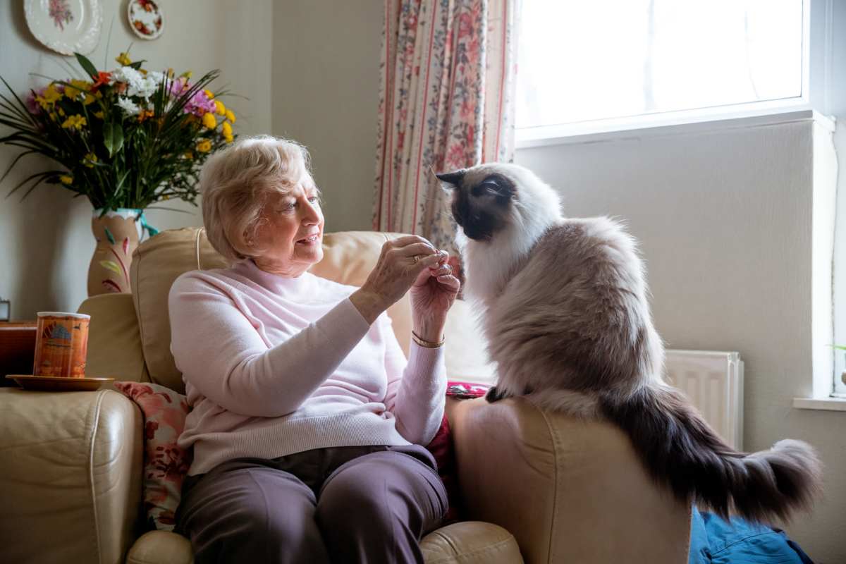 Resident playing with his cat at Harbor West Villas in Warsaw, Missouri