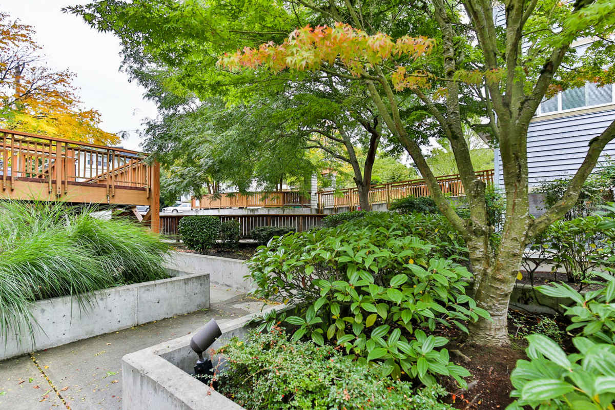 Elevated wooden walkways  at Ivy Ridge Apartments in Seattle, Washington