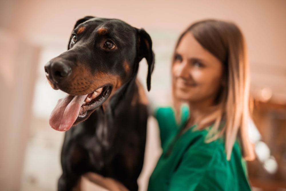 Happy resident and her dog loving their new home at Waterford Trails in Spring, Texas