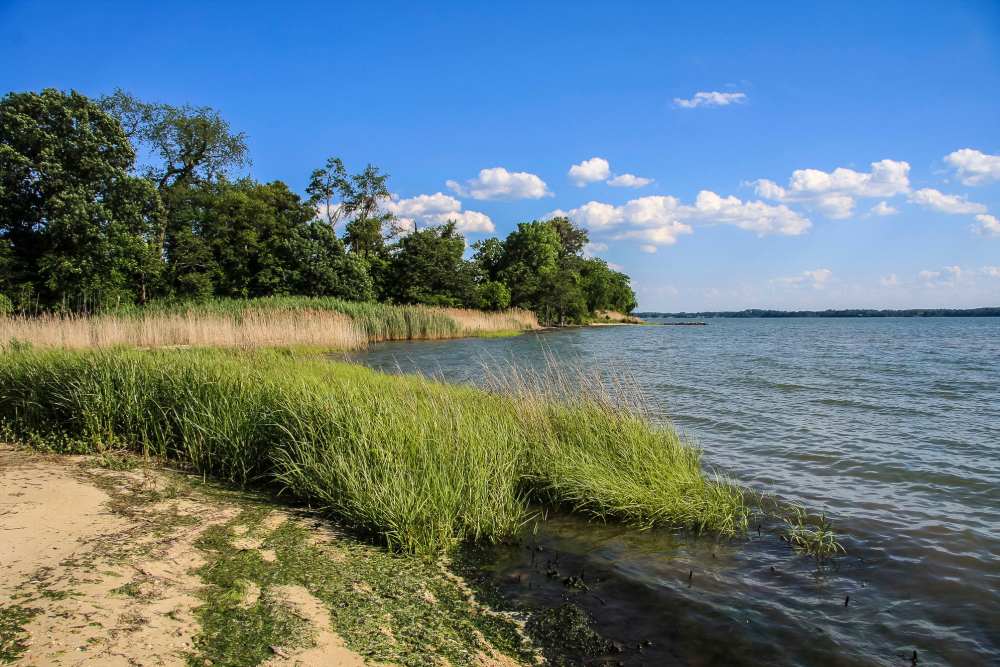 Great outdoor places near 2001 Clarendon BLVD in Arlington, Virginia