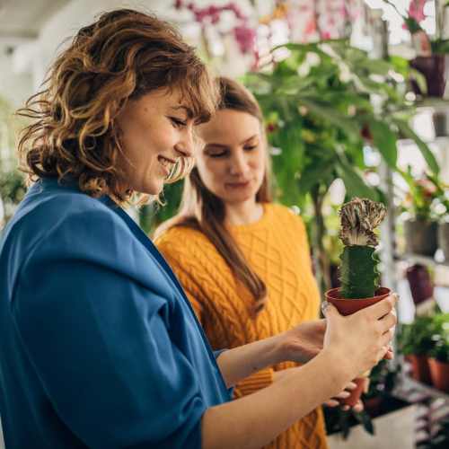 Residents buying some plants at Eden Tower Apartments in Reno, Nevada