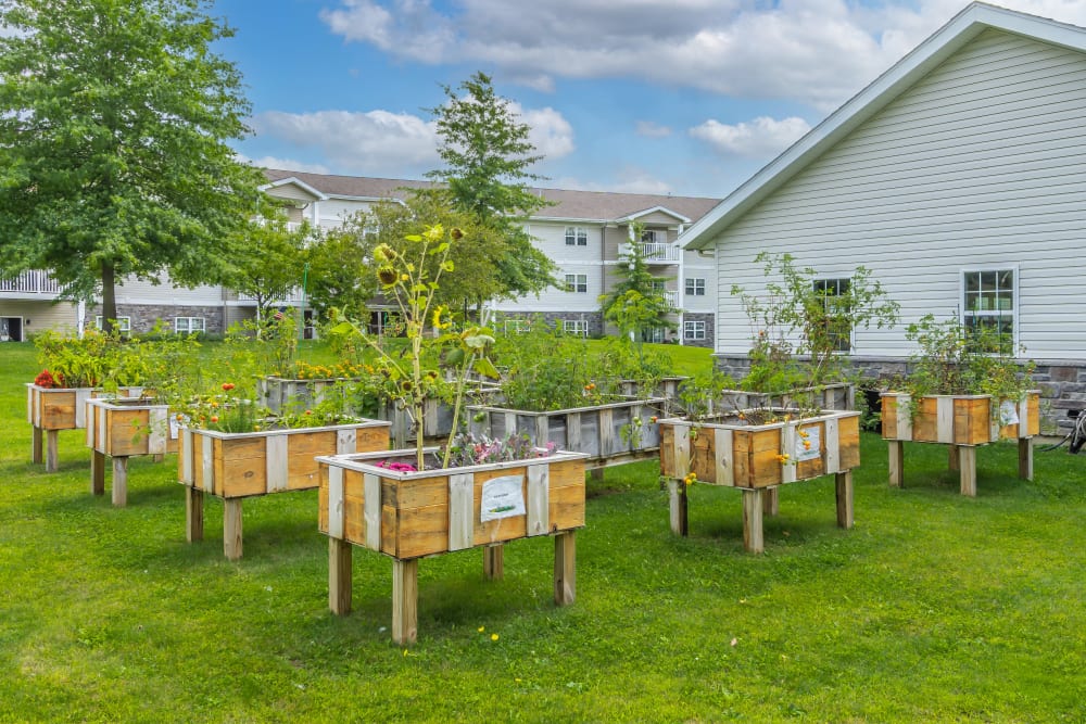 Resdient gardens at Schuyler Commons in Utica, New York.