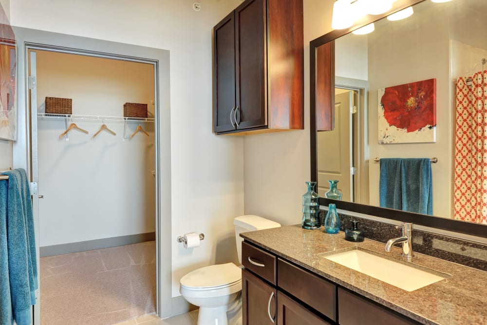 Bright bathroom at The Mark at Brickyard Apartment Homes in Beltsville, Maryland