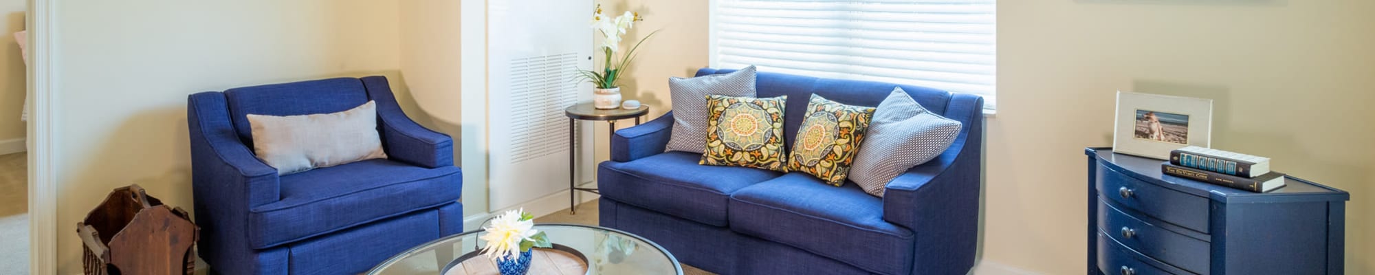 Gallery of The Harmony Collection at Roanoke - Assisted Living in Roanoke, Virginia