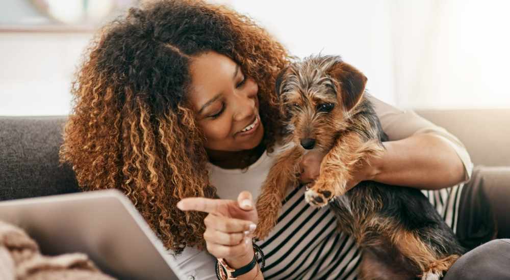 Resident playing with thier pet at Encino Crest Apartments in Encino, California