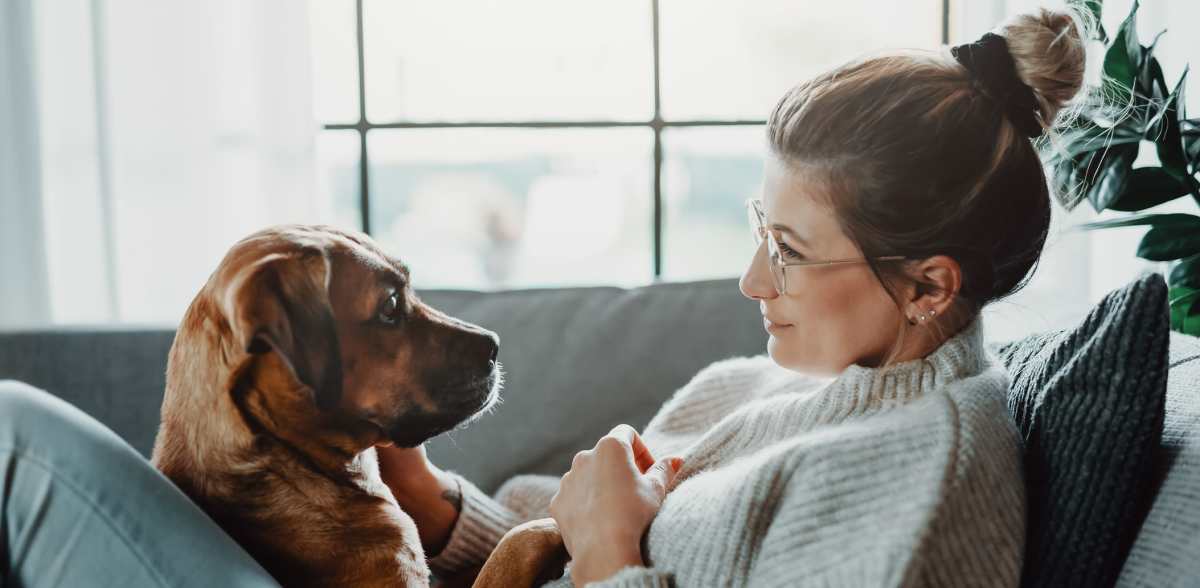 A happy dogs with its person at Elevations One, Woodbridge, Virginia