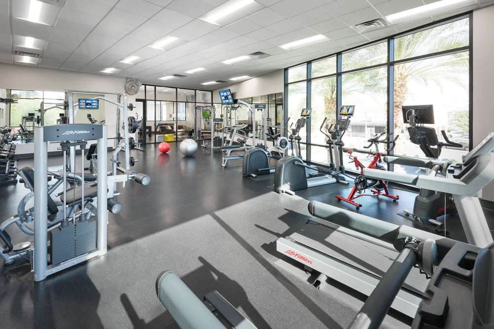 Onsite fitness center at Cactus Forty-2 in Phoenix, Arizona