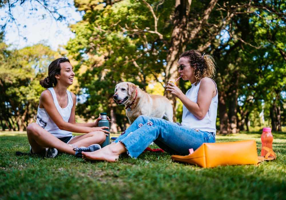 Friends enjoying in picnic area with their dog near UCE Apartment Homes in Fullerton, California