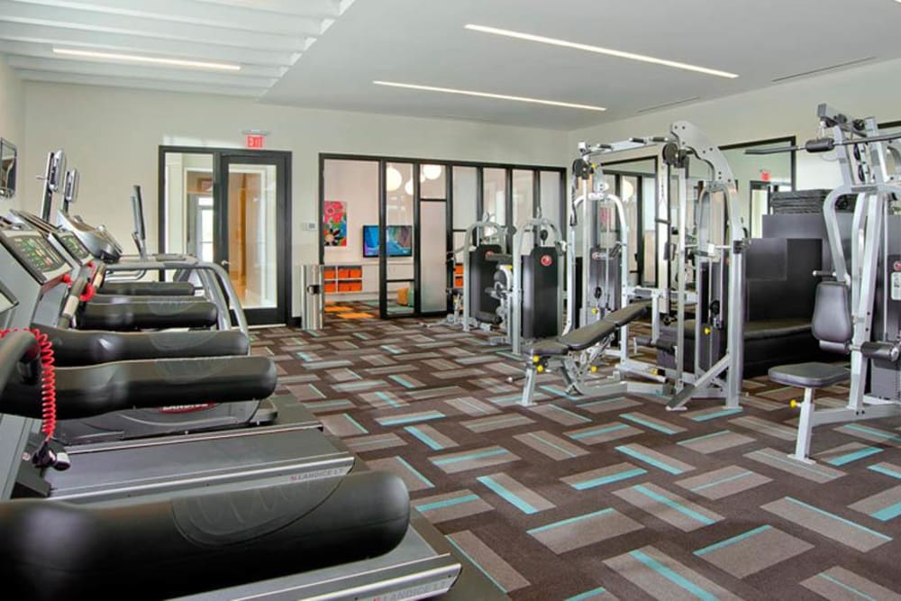 Full sized fitness area with tons of equipment at The Morgan in Chesapeake, Virginia