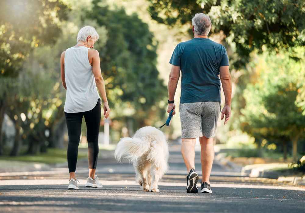 A couple walking with there dog in park near EVOQ East Cobb in Marietta, Georgia
