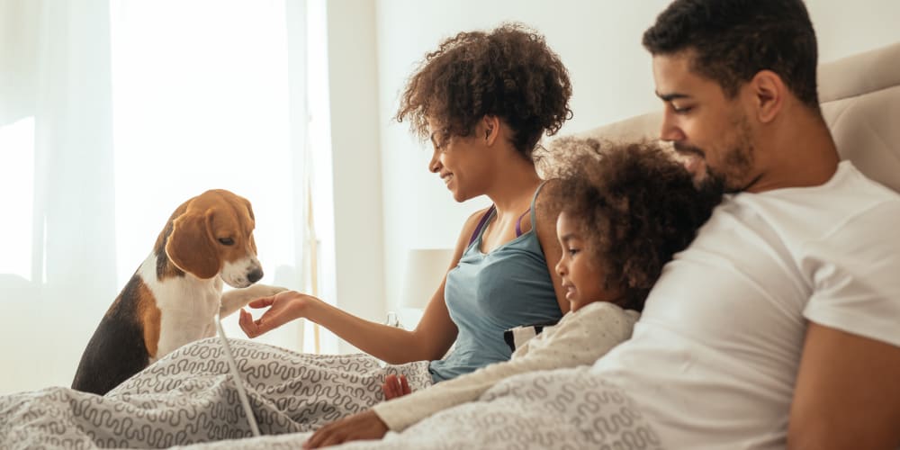 Family laying in bed with their dog at Waterbury Apartments in Cincinnati, Ohio