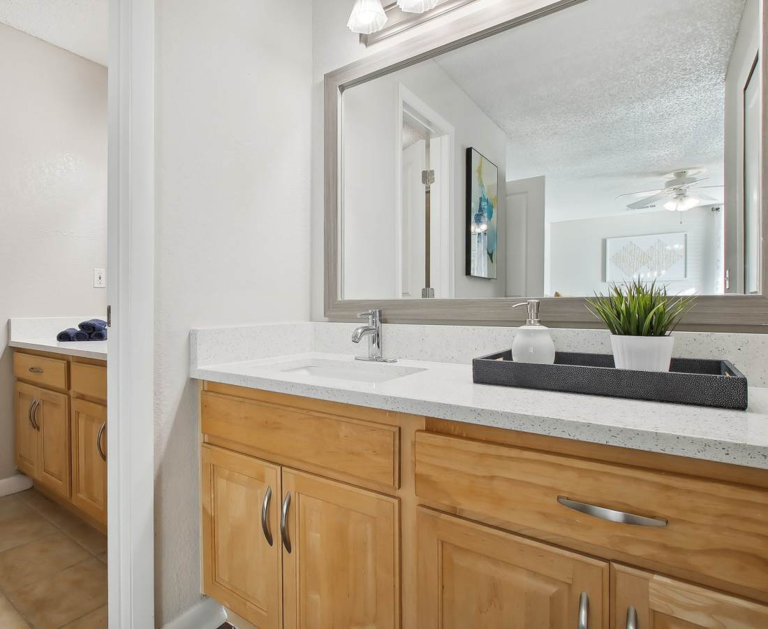 Bright bathroom with vanity unit at The Canopy Apartment Villas in Orlando, Florida