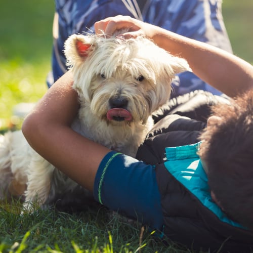 A child playing with a dog at Shelton Circle in Virginia Beach, Virginia