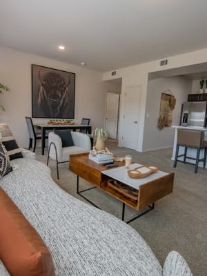 Living room at 24Hundred Apartments in Oklahoma City, Oklahoma